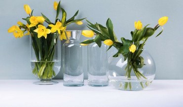 1 - GALER Vase Gennemsigtig