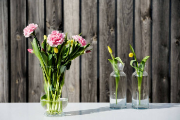 3 - RIOTES Vase Gennemsigtig 3 - RIOTES Vase Gennemsigtig