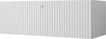 RIFLO SLIM XVII TV bord...