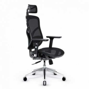 Diablo V-Basic Ergonomisk...