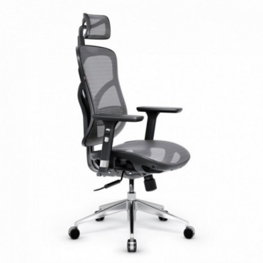 Diablo V-Basic Ergonomisk...