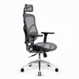 Diablo V-Basic Ergonomisk kontorstol, sort-gr&aring;