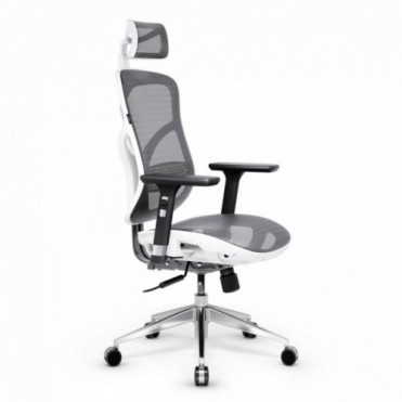 Diablo V-Basic Ergonomisk...