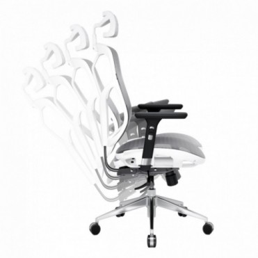 Diablo V-Basic Ergonomisk...