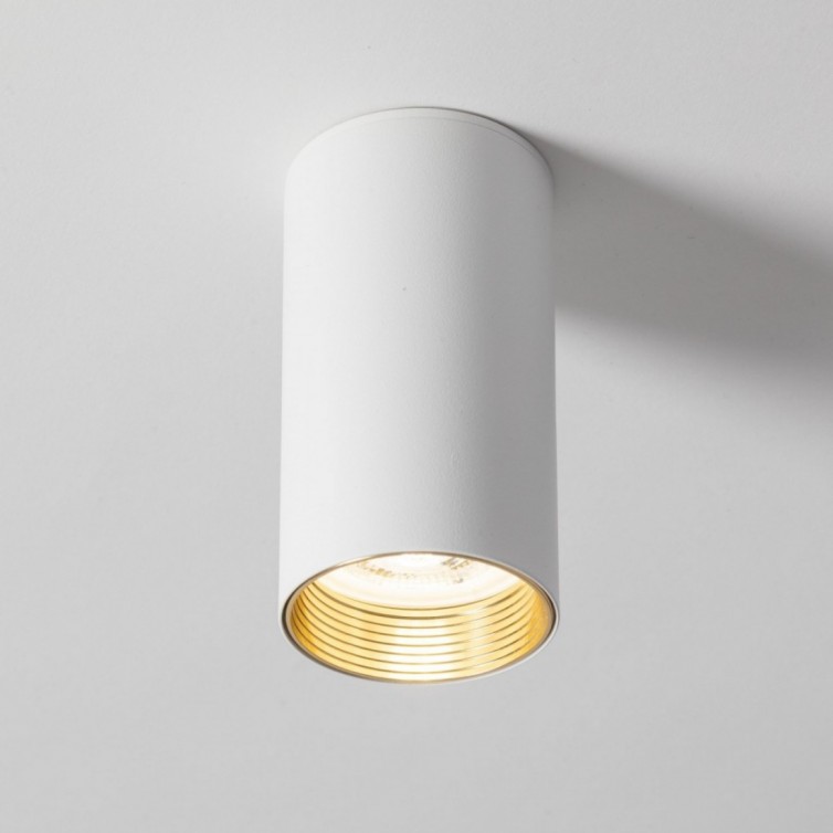 AMIS DOWNLIGHT v&aelig;glampe med 1 lyskilde &ndash; hvid
