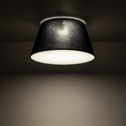 FORMO loftlampe med 2 lyskilder &ndash; sort