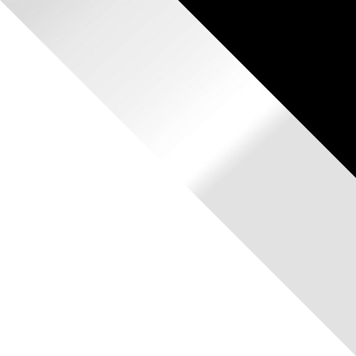 Hvid / Hvid Glans + Sort