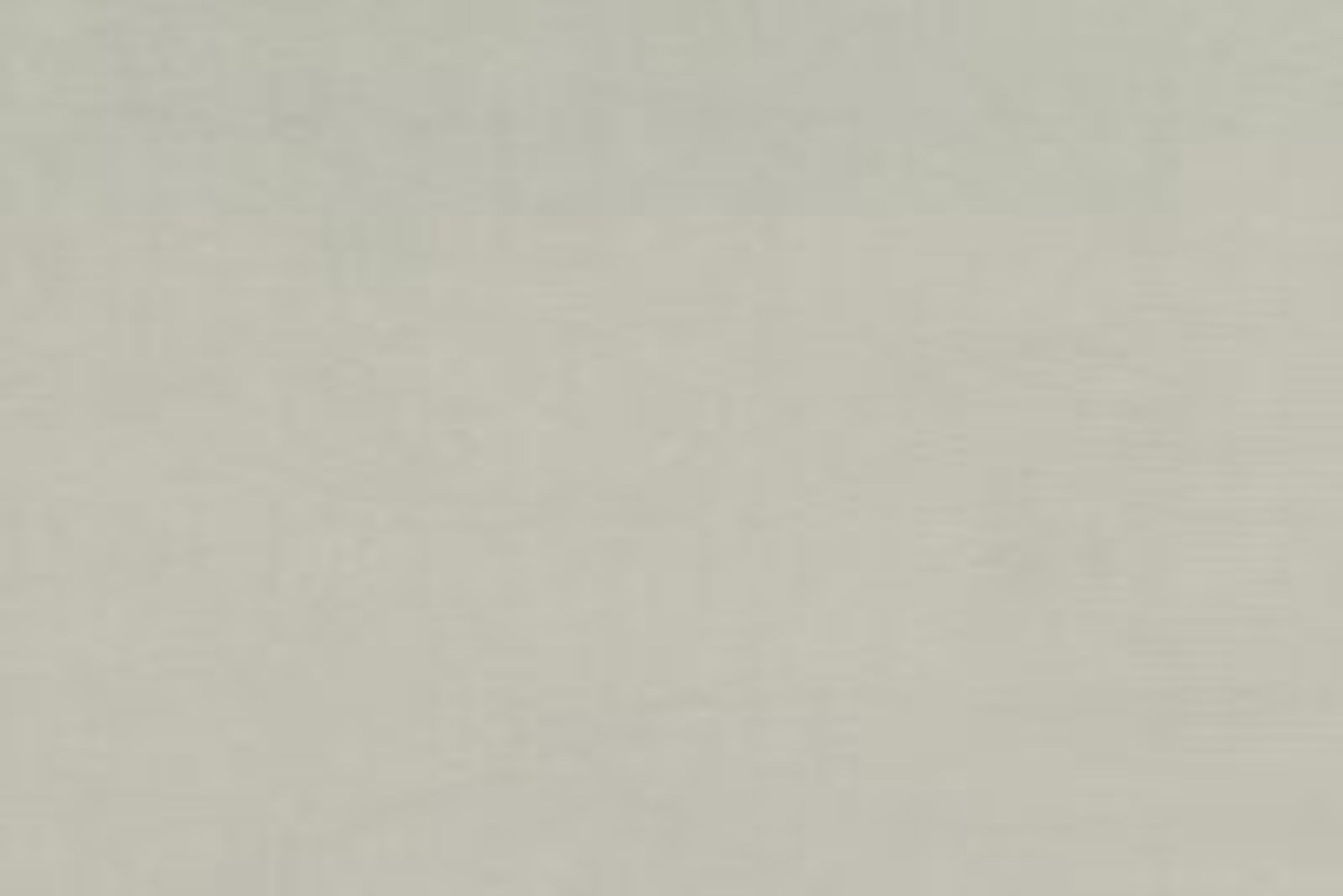 2201 &mdash; Natural Beige
