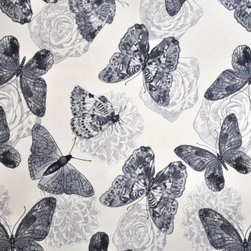 Butterfly 01
